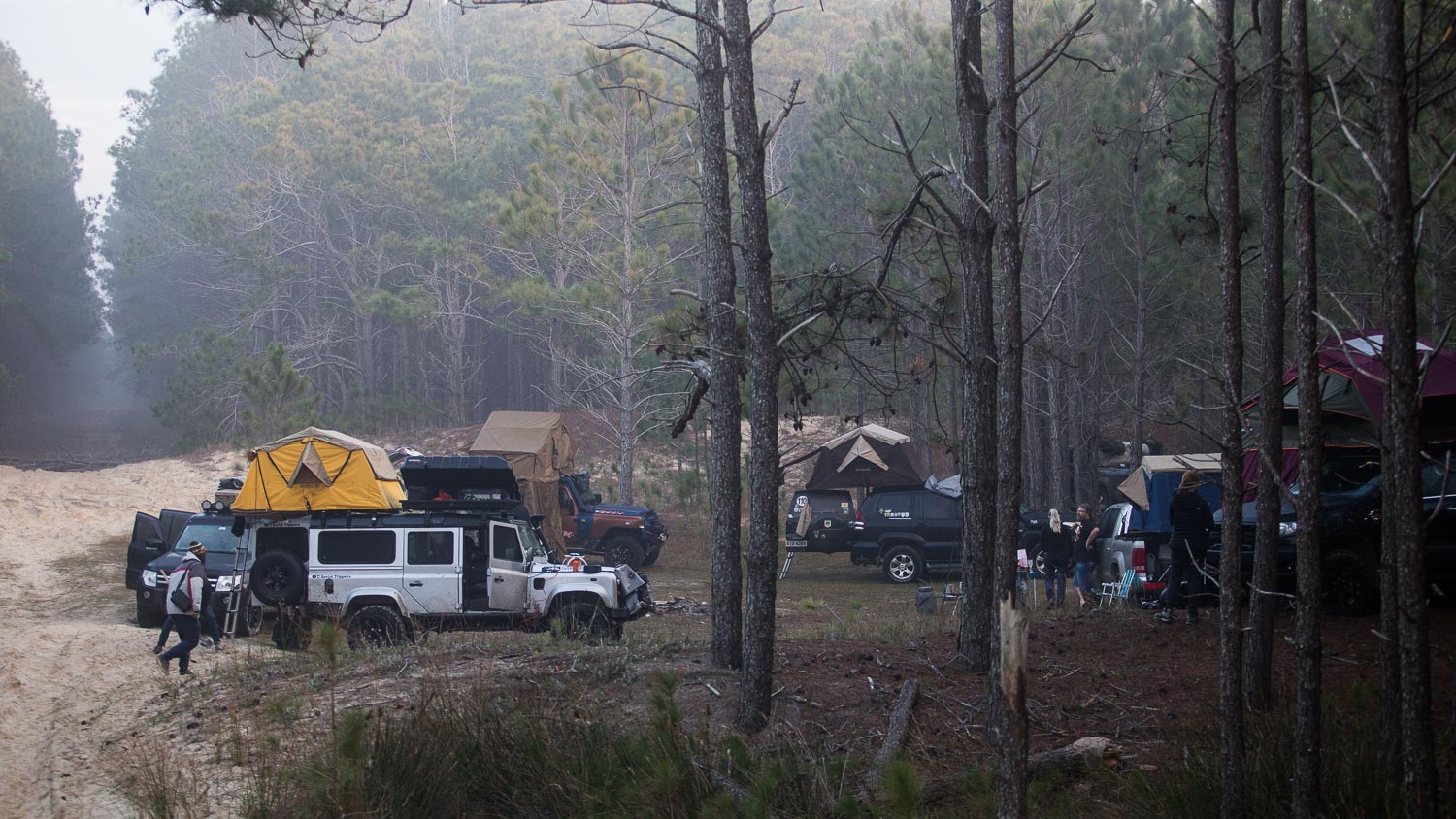 acampamento selvagem no cassino