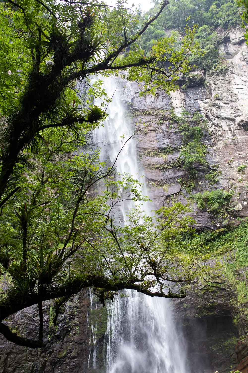 cachoeira do forqueta